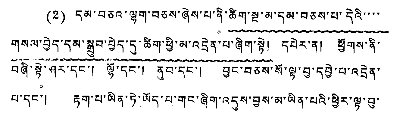 Figure 18. Wavy “underlining” with long descenders (Tibetan)